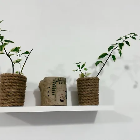 아파트 Js House 3 Shkodër