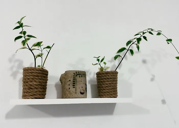 아파트 Js House 3 Shkodër