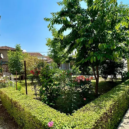 Js House 3 Shkoder