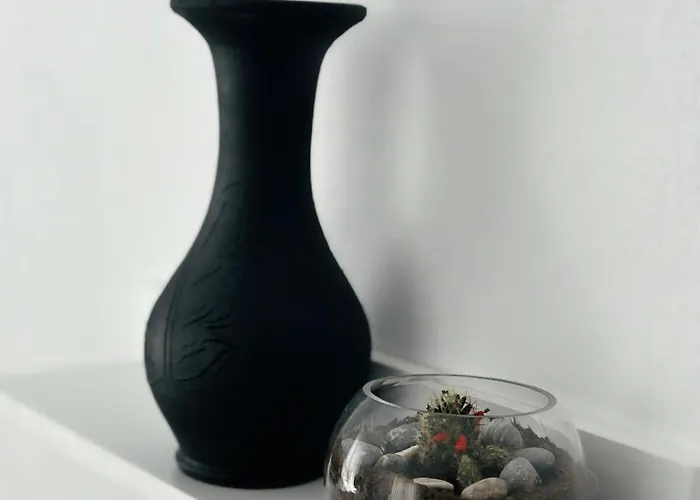 Js House 3 * Shkodër